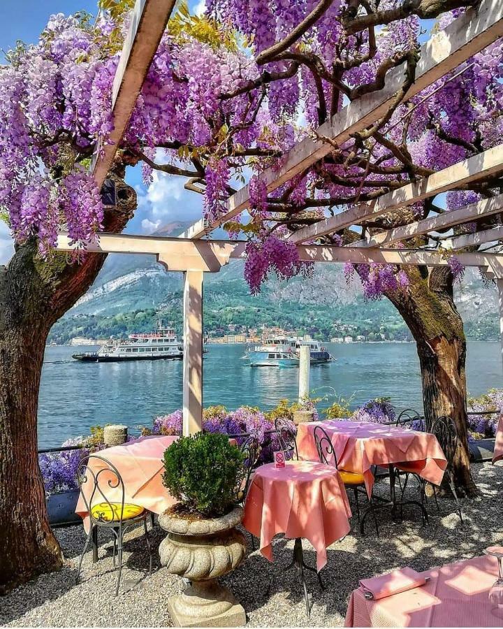 Sweet House Self Check-In 24H Hotel Cavallasca Bagian luar foto